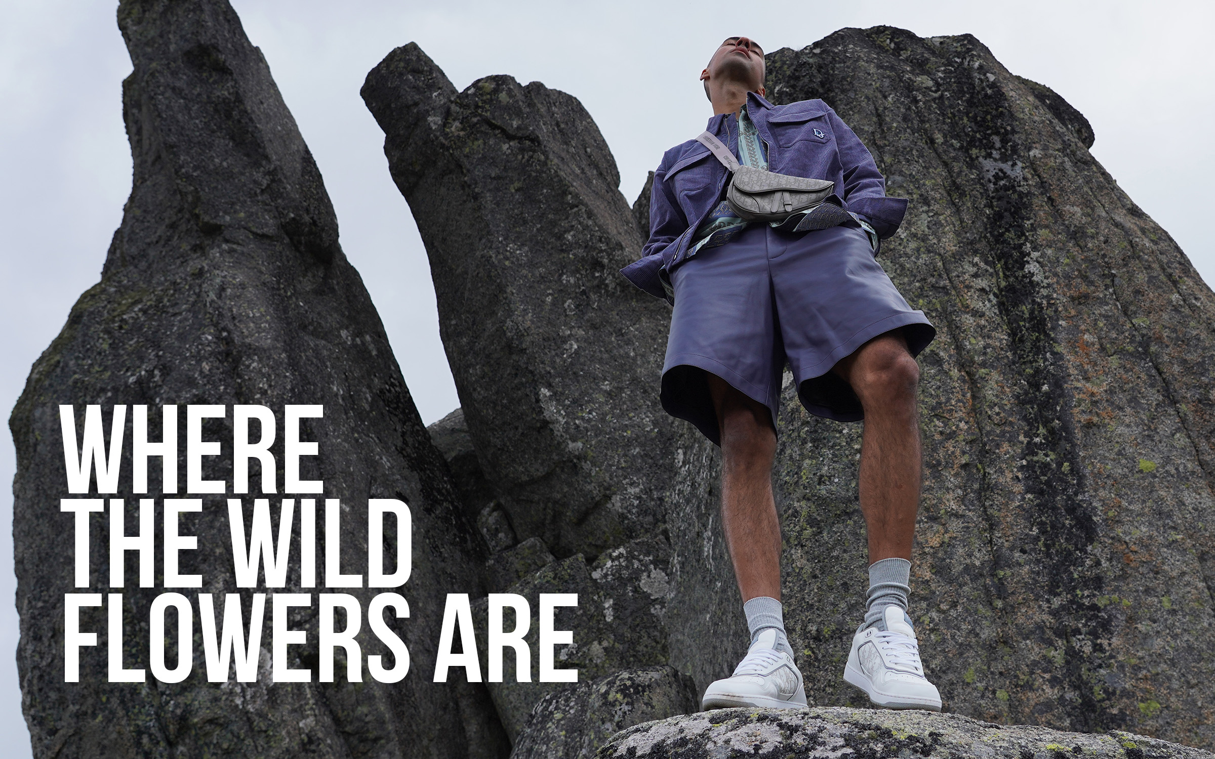 WHERE THE WILD FLOWERS ARE